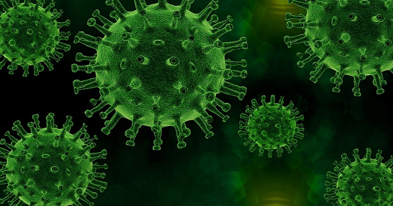 Coronavirus – news and regulations