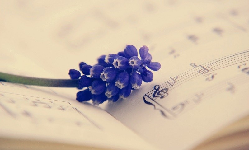 Flower on the music book